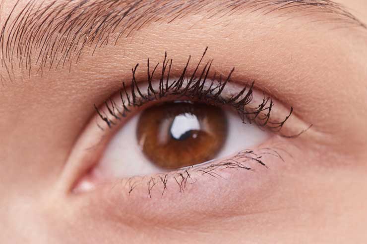 Integral Eye Movement Therapy IEMT Groeidala IEMT traumatherapie Groeidala