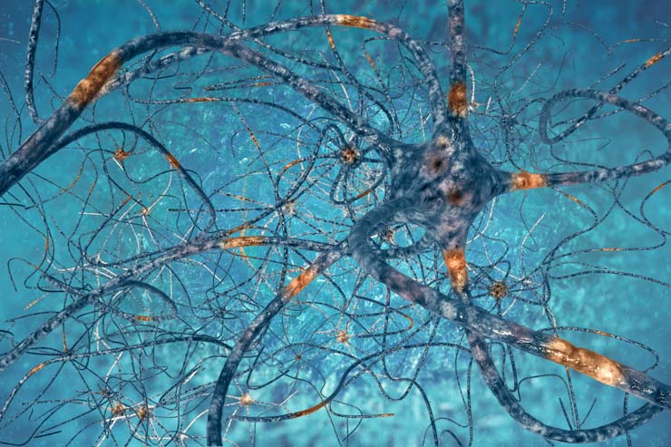 Integral Eye Movement Therapy IEMT Groeidala integral eye movement therapy iemt traumatherapie brain neurons web 168640976 Groeidala