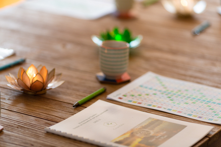 Workshop Tzolkin Deel 2 Workshop Tzolkin Deel 2 Groeidala life coaching maya reading tzolkin 8951 web Groeidala