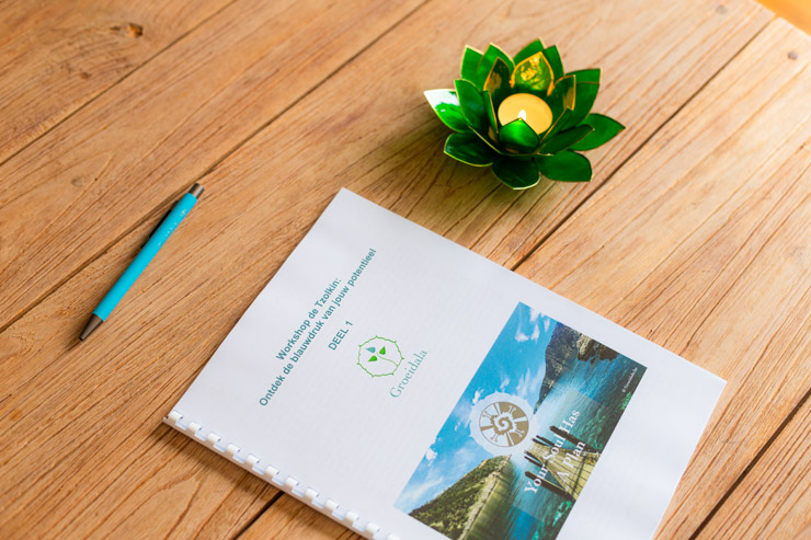 Workshops Workshops Groeidala life coaching maya reading tzolkin 9342 web Groeidala