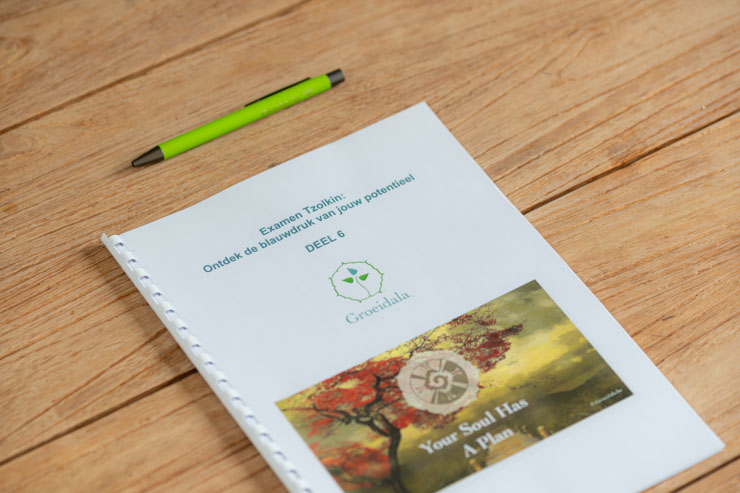 Workshop Tzolkin Deel 6 Workshop Tzolkin Deel 6 Groeidala tzolkin workshop deel6 maya astrologie web 06278 Groeidala