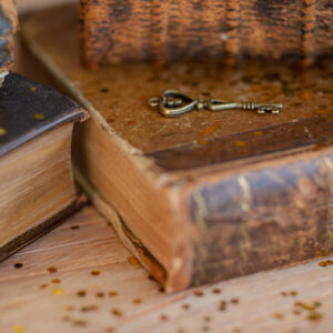 Shop Shop Groeidala 6 Groeidala_levens-en-zielenpad-reading-tzolkin-maya-astrologie-numerologie1234-levensdoel-missie