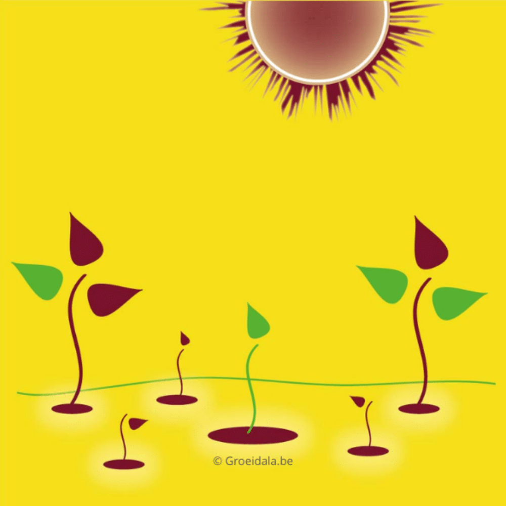 Tzolkin gele zaad golf Groeidala Geel Zaad Maya astrologie